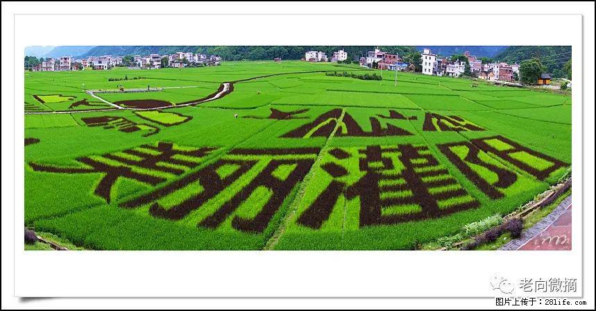 【春天，广西桂林灌阳县向您发出邀请！】开篇 - 游山玩水 - 本溪生活社区 - 本溪28生活网 benxi.28life.com