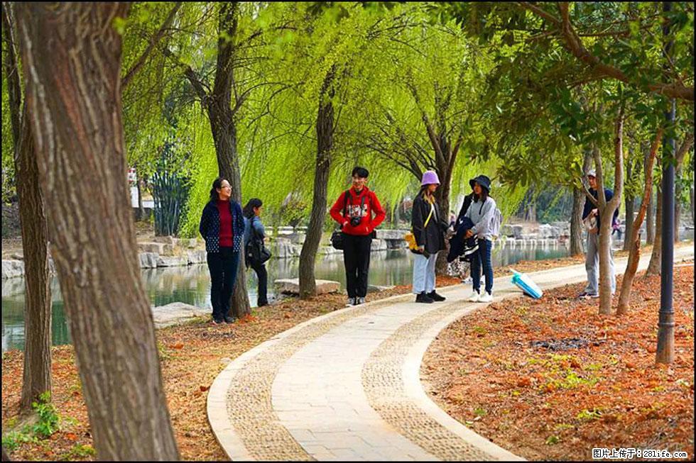 【春天，广西桂林灌阳县向您发出邀请！】江口老街又逢春 - 游山玩水 - 本溪生活社区 - 本溪28生活网 benxi.28life.com