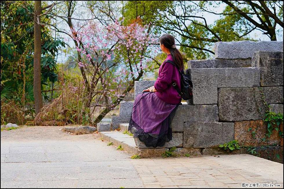 【春天，广西桂林灌阳县向您发出邀请！】江口老街又逢春 - 游山玩水 - 本溪生活社区 - 本溪28生活网 benxi.28life.com