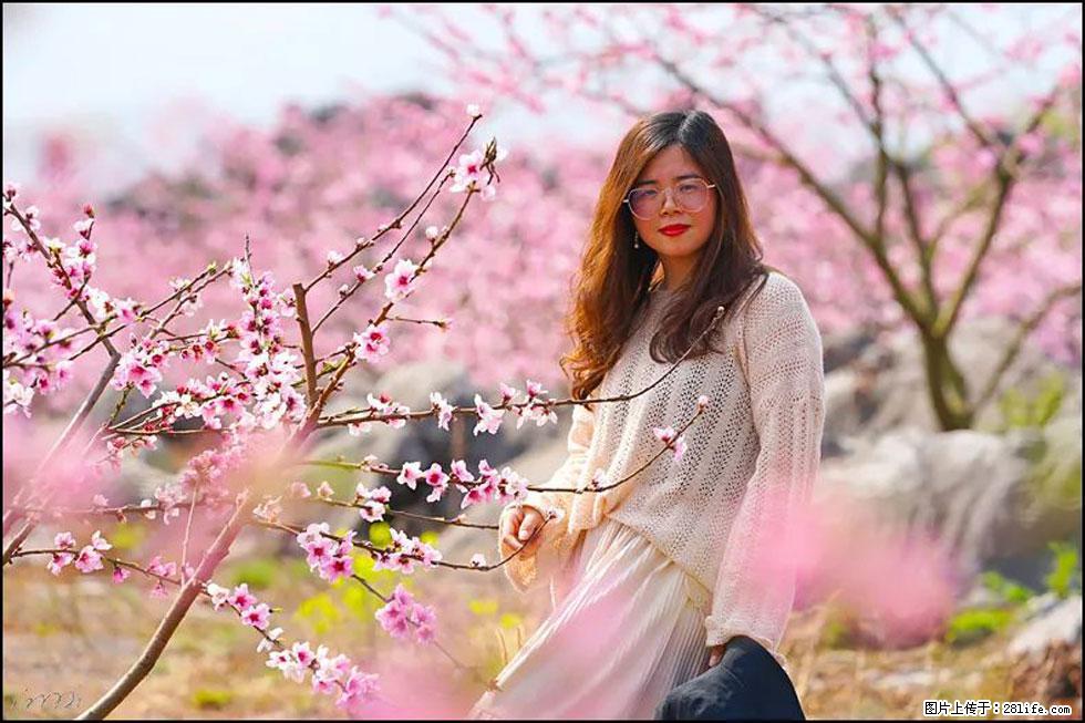 【春天,广西桂林灌阳县向您发出邀请!】望月岭上桃花开 - 游山玩水 - 本溪生活社区 - 本溪28生活网 benxi.28life.com