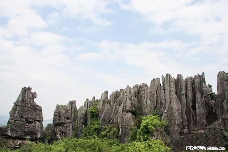 桂林旅游名城景点：灌阳文市石林 - 游山玩水 - 本溪生活社区 - 本溪28生活网 benxi.28life.com