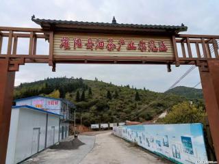 【灌阳县油茶产业示范区】一个有着充实的精神生活的人,对待身外之物自会有一种淡泊的态度 - 本溪28生活网 benxi.28life.com