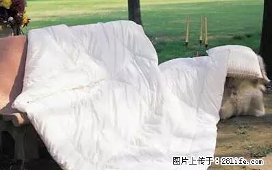 被子有异味？只要这样做，比晒太阳还强100倍！ - 家居生活 - 本溪生活社区 - 本溪28生活网 benxi.28life.com