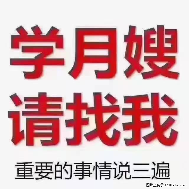 【招聘】月嫂，上海徐汇区 - 职场交流 - 本溪生活社区 - 本溪28生活网 benxi.28life.com