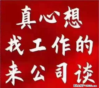 【上海】国企,医院招两名男保安,55岁以下,身高1.7米以上,无犯罪记录不良嗜好 - 本溪28生活网 benxi.28life.com