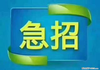 招财务，有会计证的，熟手会计1.1万底薪，上海五险一金，包住，包工作餐，做六休一 - 本溪28生活网 benxi.28life.com