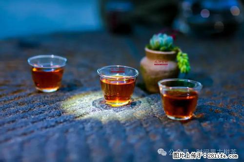 时间果百年古树2025年春红茶 - 购物交流 - 本溪生活社区 - 本溪28生活网 benxi.28life.com