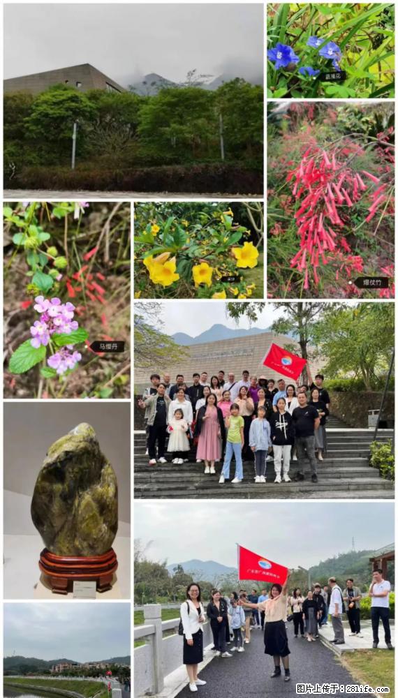 “粤灌文化 美好生活”油茶文化主题活动在广东深圳成功举办 - 本溪生活资讯 - 本溪28生活网 benxi.28life.com