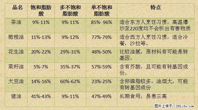 揭秘茶油的5大核心营养成分!被称为人体健康的“守护盾”! - 本溪生活资讯 - 本溪28生活网 benxi.28life.com