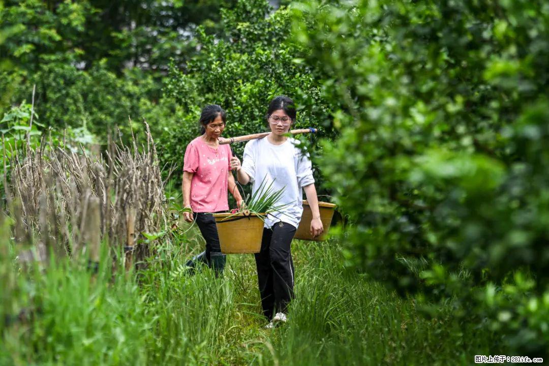 全网追的“扁担女孩”,找了一份暑假工,时薪12元 - 本溪生活资讯 - 本溪28生活网 benxi.28life.com