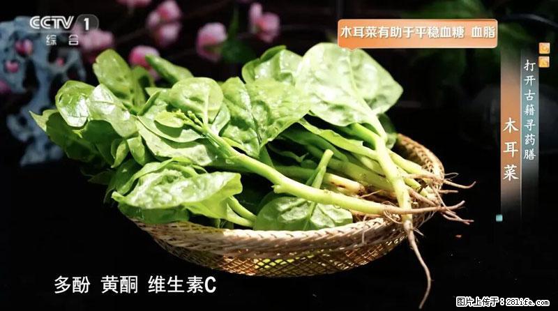 比牛奶补钙还厉害！凉血解毒、稳血糖...这菜冬天必吃，很多人却当草 - 本溪生活资讯 - 本溪28生活网 benxi.28life.com