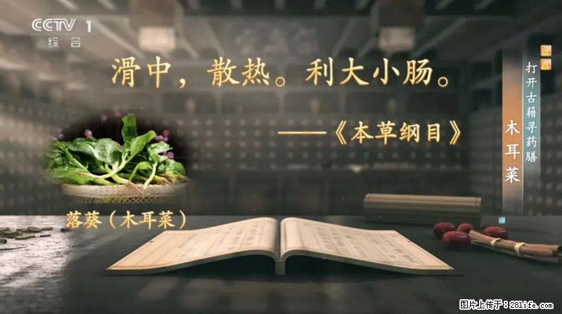 比牛奶补钙还厉害！凉血解毒、稳血糖...这菜冬天必吃，很多人却当草 - 本溪生活资讯 - 本溪28生活网 benxi.28life.com