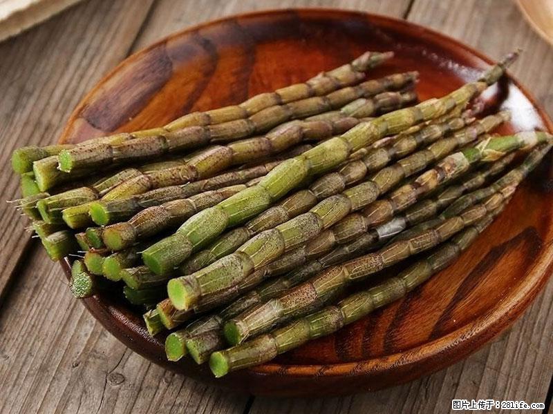 铁皮石斛的作用与功能主治 - 本溪生活资讯 - 本溪28生活网 benxi.28life.com